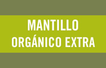 Mantillo